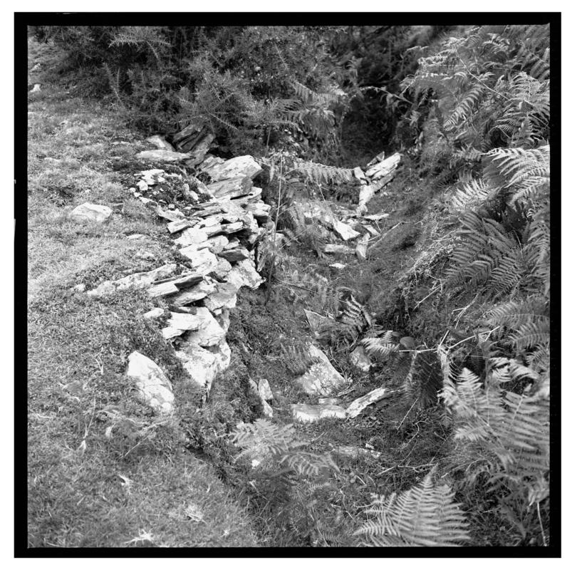 Dolaucothi gold mine, negative