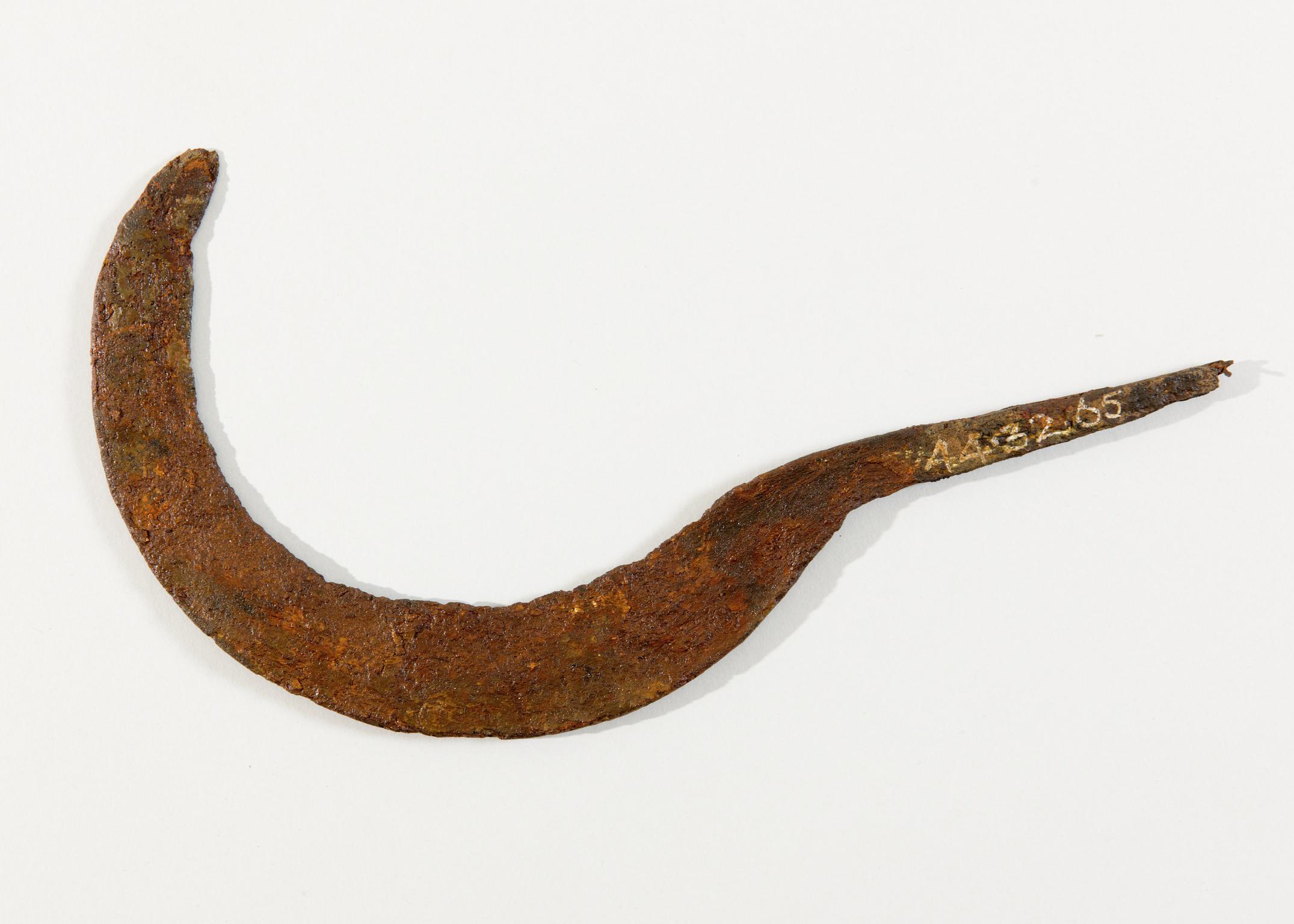 Iron Age iron sickle