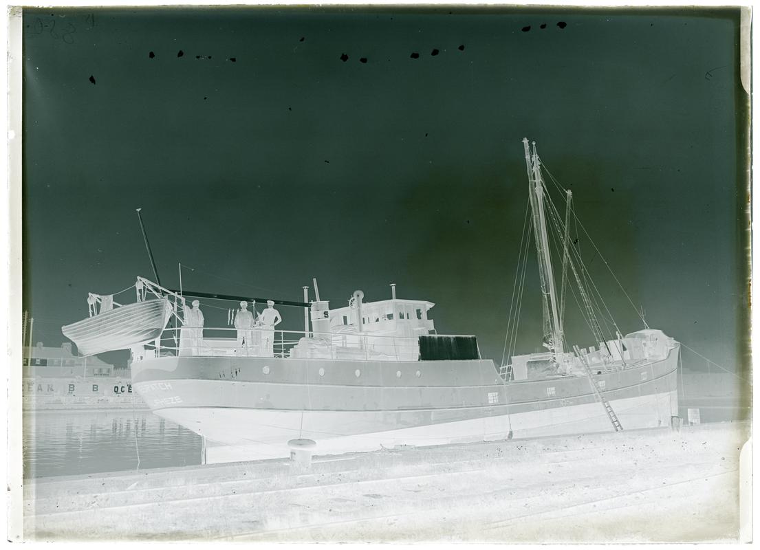 M.V. DESPATCH, glass negative