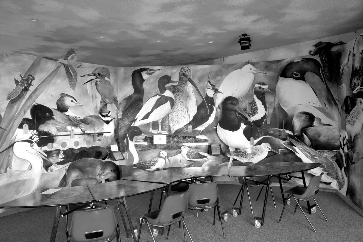 GB. WALES. Llanelli. National Wetlands Centre. Study room. 2007.