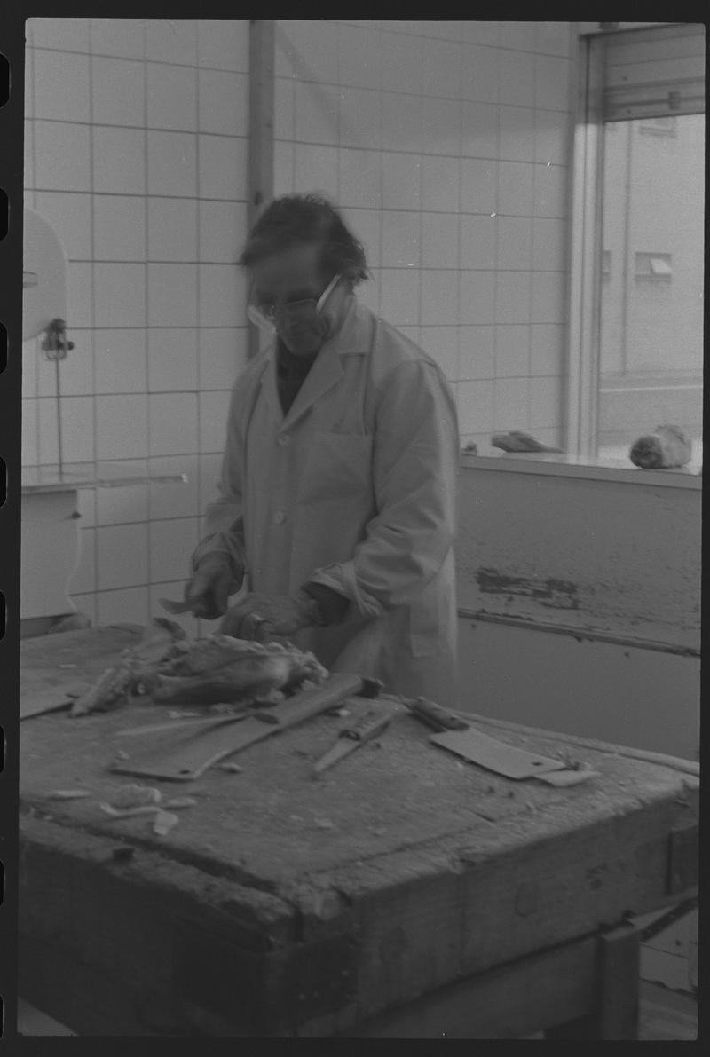 Butcher cutting up meat in shop, Loudoun Square, Butetown.