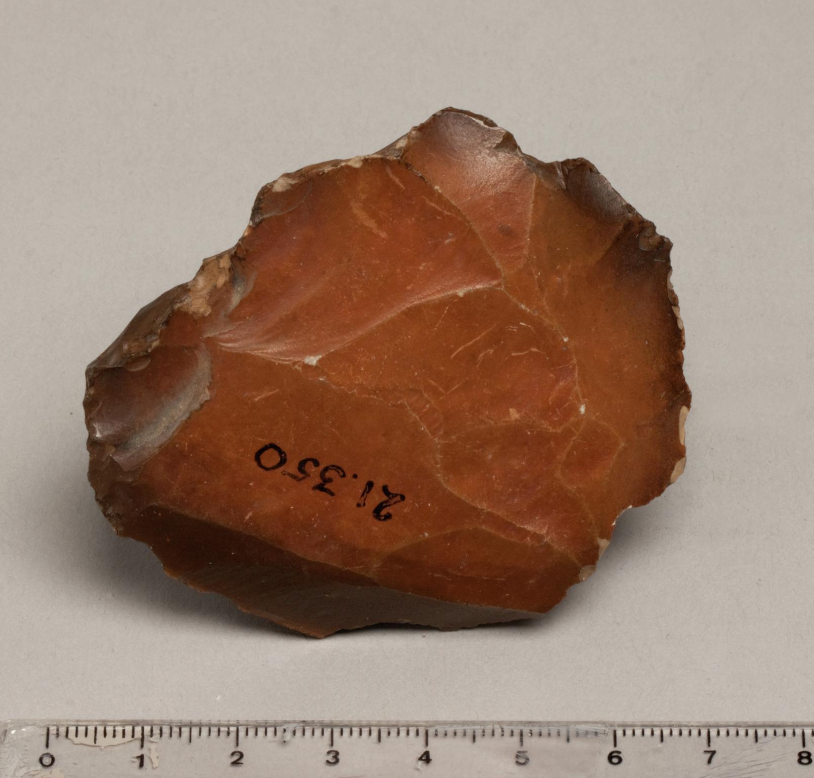 Middle Palaeolithic stone levallois core