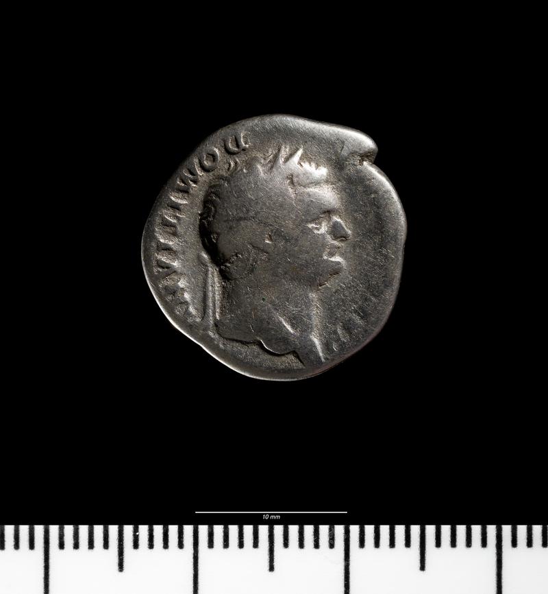 Domitian Caesar denarius