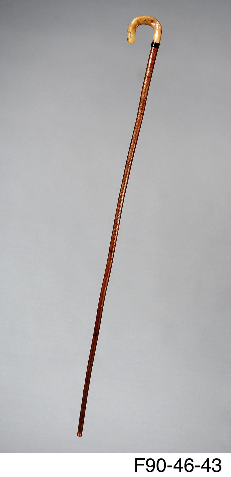 Shepherd's crook