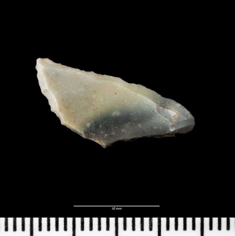 Mesolithic flint microlith from Gwernvale