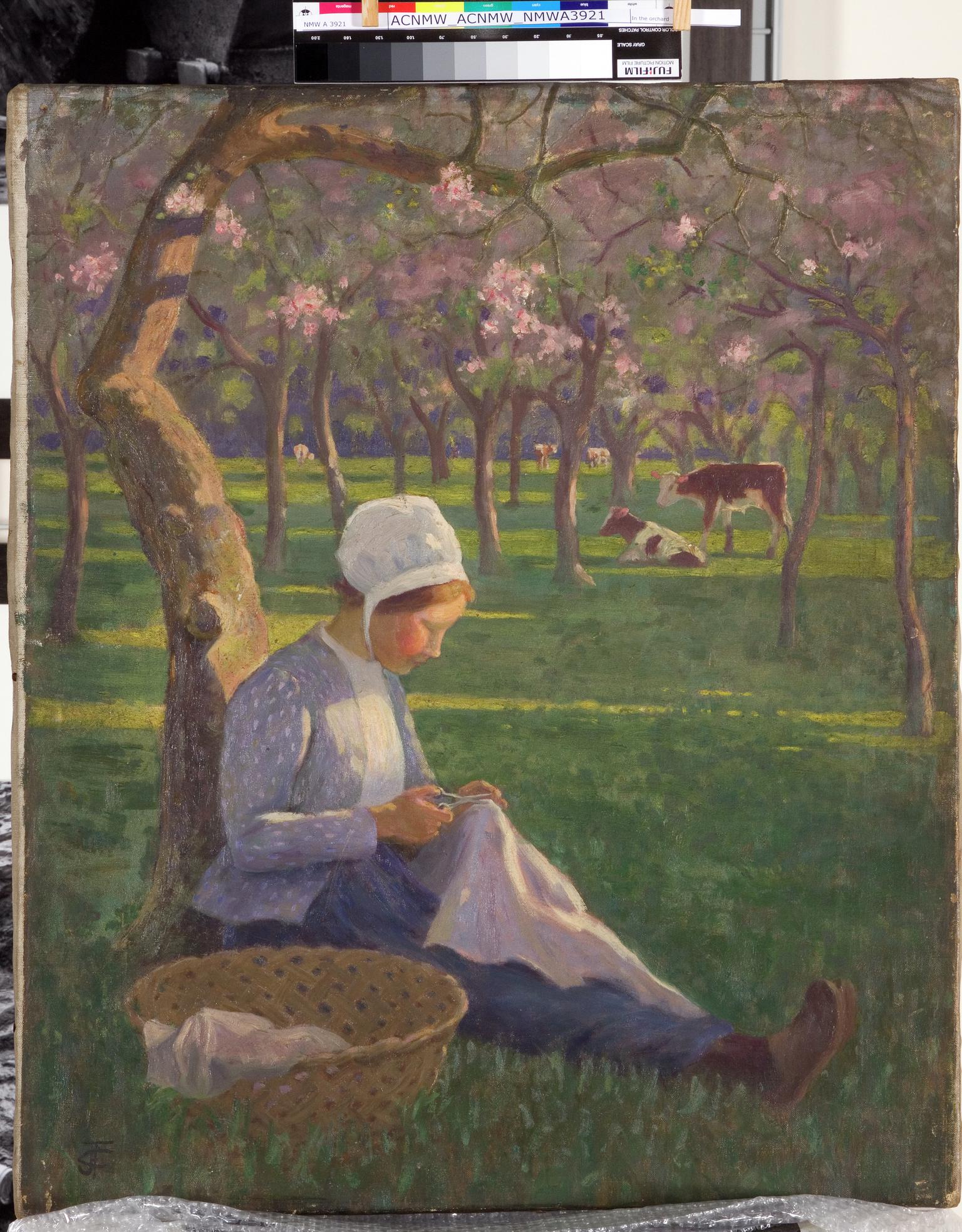 In the orchard