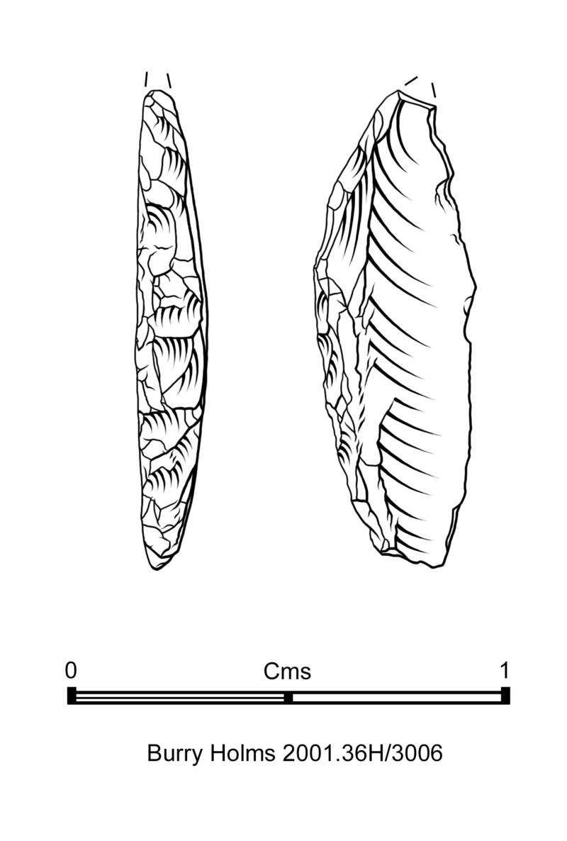 Later Mesolithic flint microlith