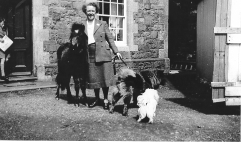 Dinorwig Quarry Hospital. Vera Davies with a small pony, and two dogs outside the private entrance to DQH. Vivian Hughes can be seen in the background exiting the door.