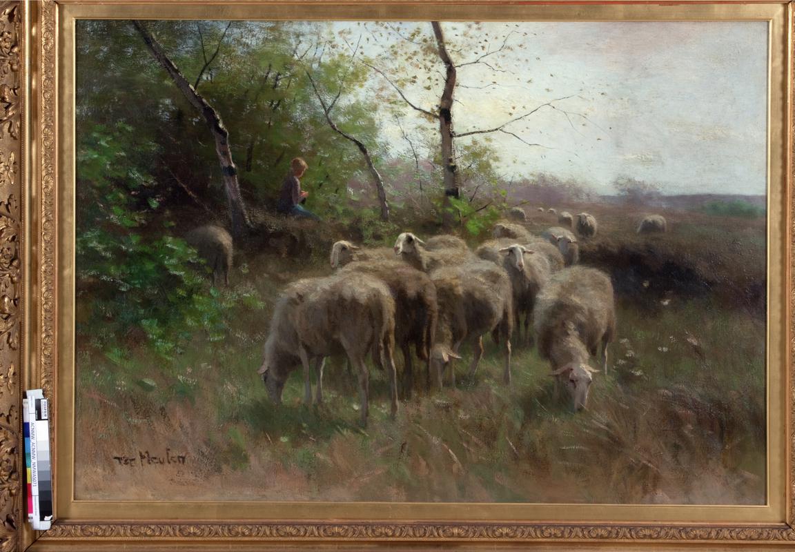Shepherdess and sheep
