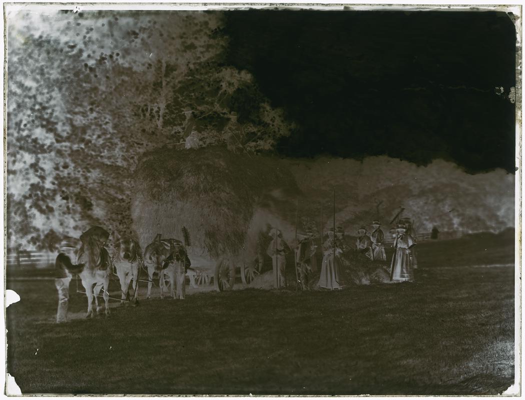 Haymakers, glass negative