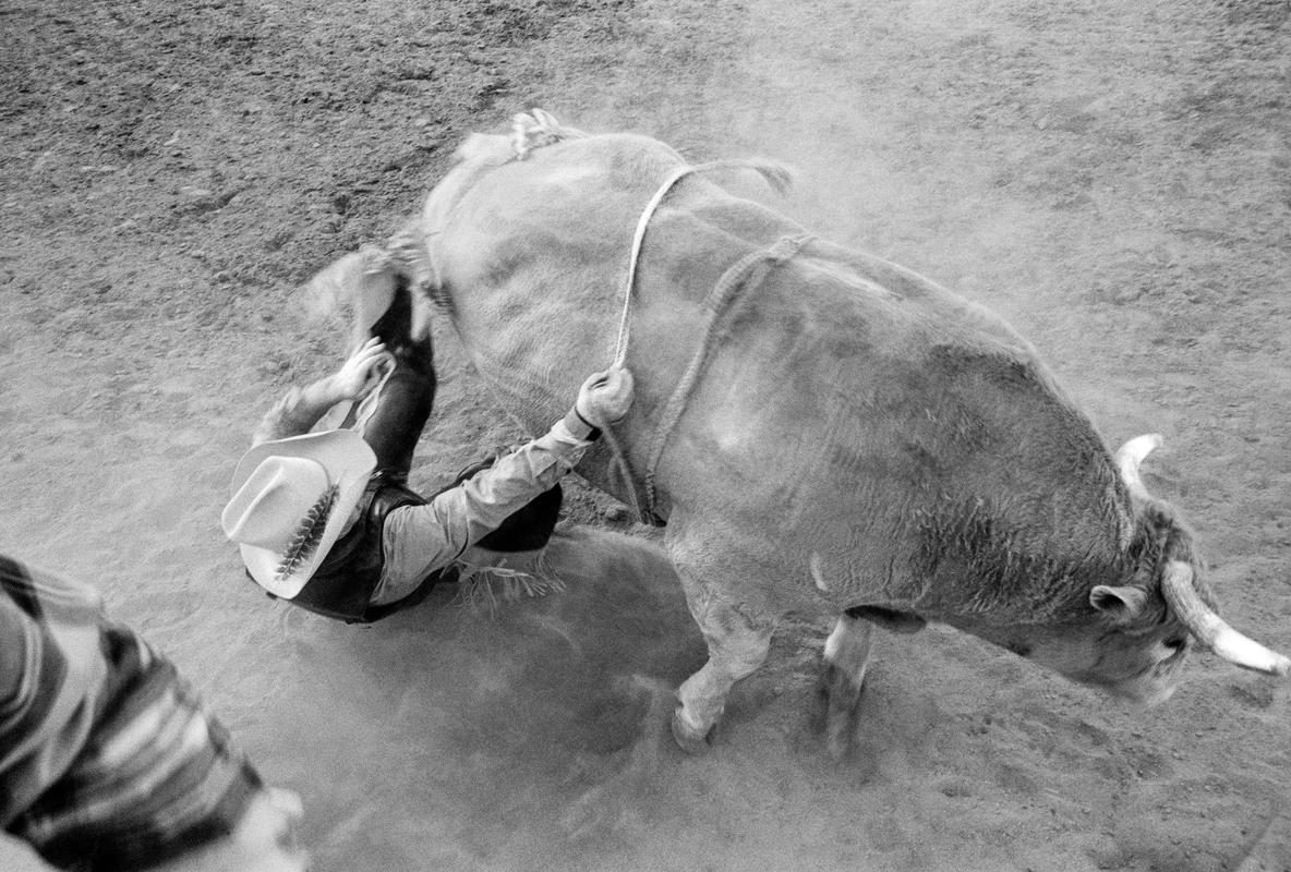 USA. ARIZONA. Buckeye Senior Rodeo, man tossed from bull. Only a broken rib. 2002.