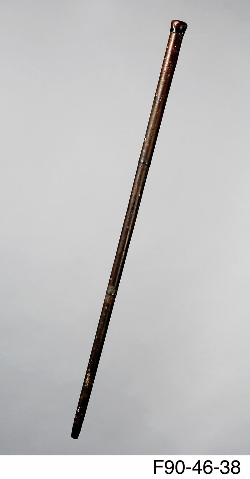 Walking stick