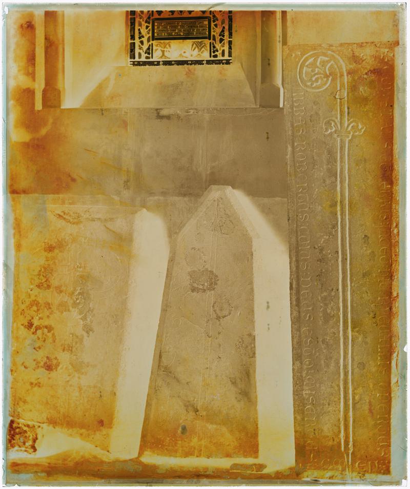 Photographic Negative