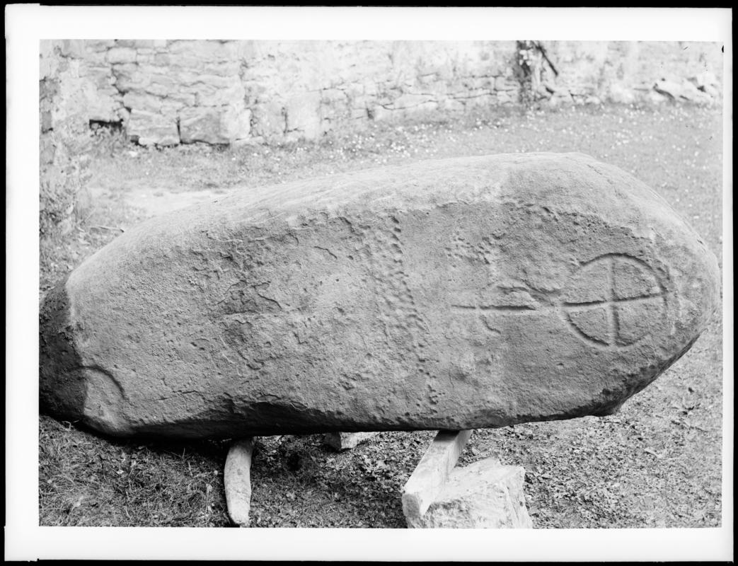 Photographic Negative