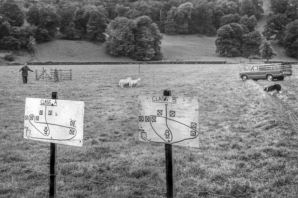 GB. WALES. Llandderfel. Sheepdog trials showing the corse map. 1983