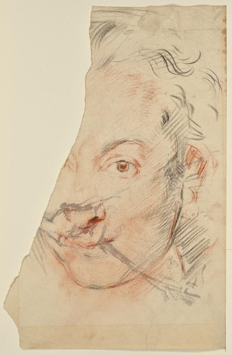 A Woman&#039;s Head, after Rubens