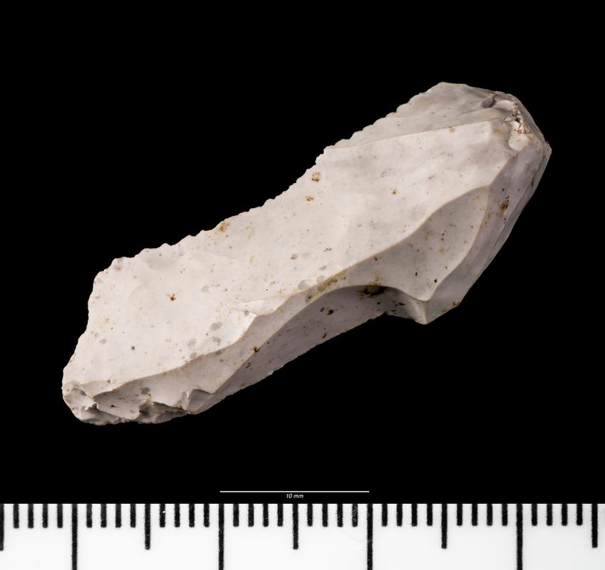 Early Mesolithic flint microdenticulate