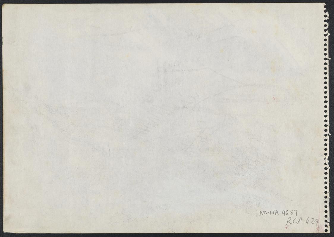 Kestrel from top, study