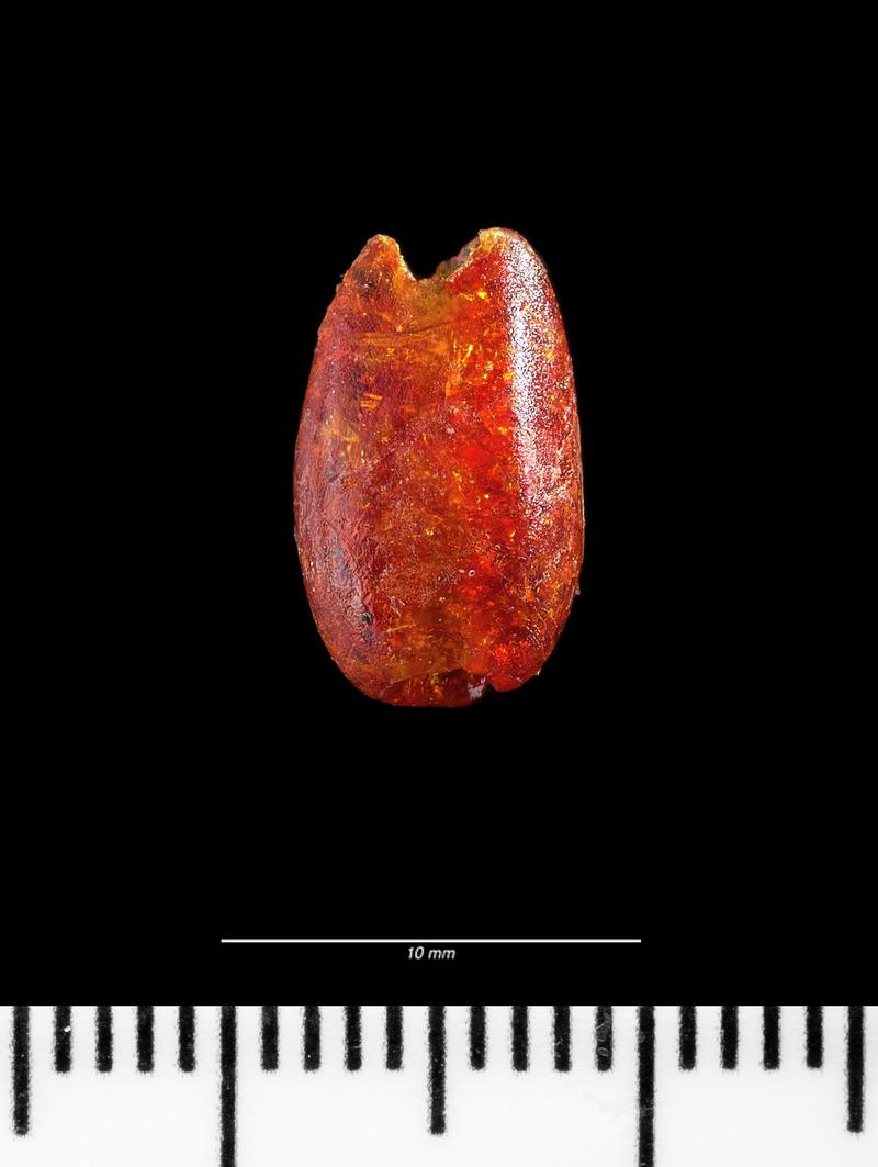 Roman amber bead