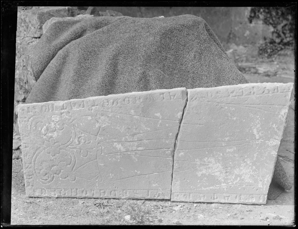 Photographic Negative