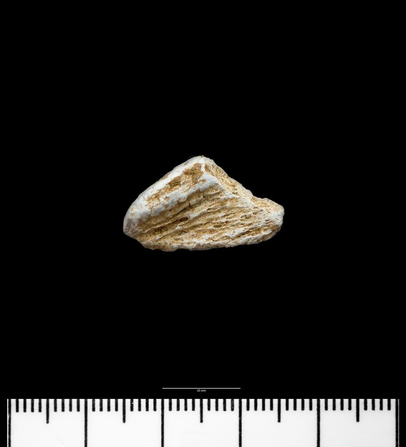 Middle Neolithic cremated human remains