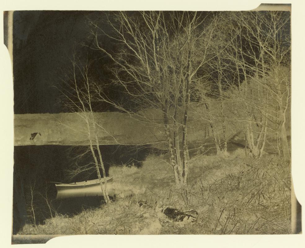 Penllergare, lower lake, paper negative