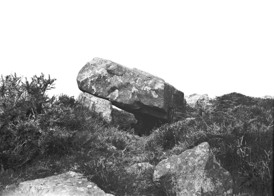 Photographic Negative