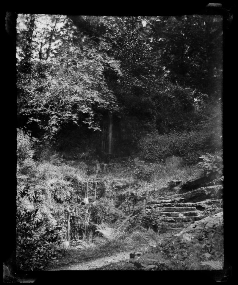 Penllergare, steps in valley, photograph