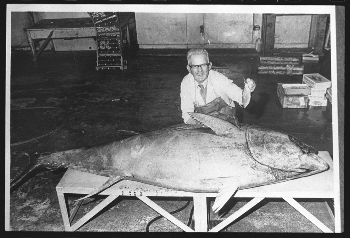 Cardiff Docks, negative