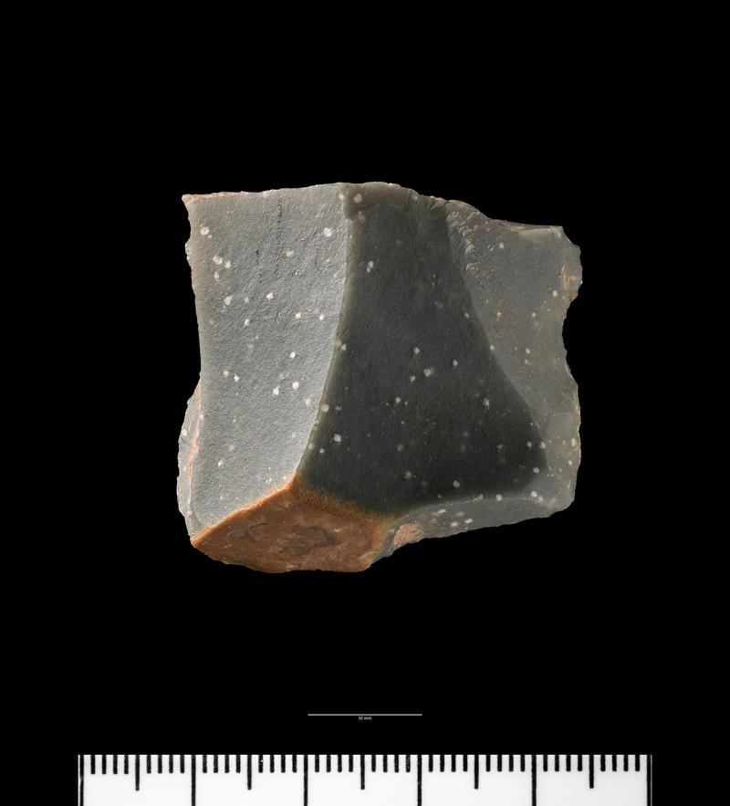 Early Upper Palaeolithic blade from Paviland Cave. Dorsal surface