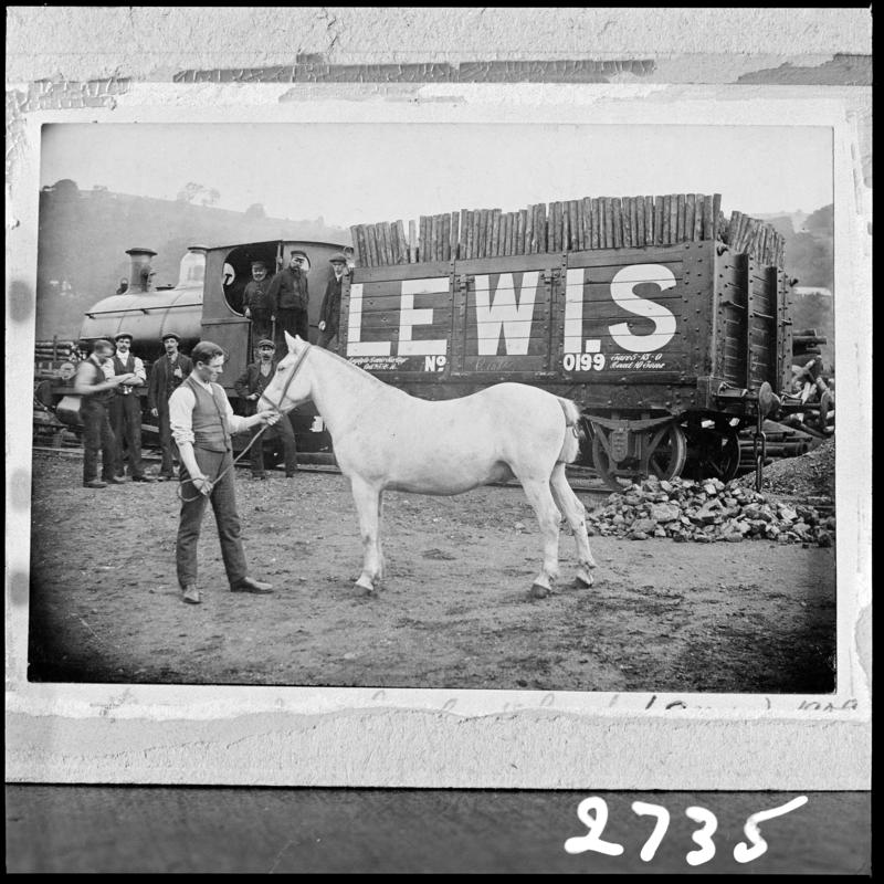 Black and white film negative of a photograph showing Snowball, a show pony at Lewis Merthyr Colliery, with a Peckett locomotive, 1909.  &#039;Lewis Merthyr Colliery&#039; is transcribed from original negative bag.