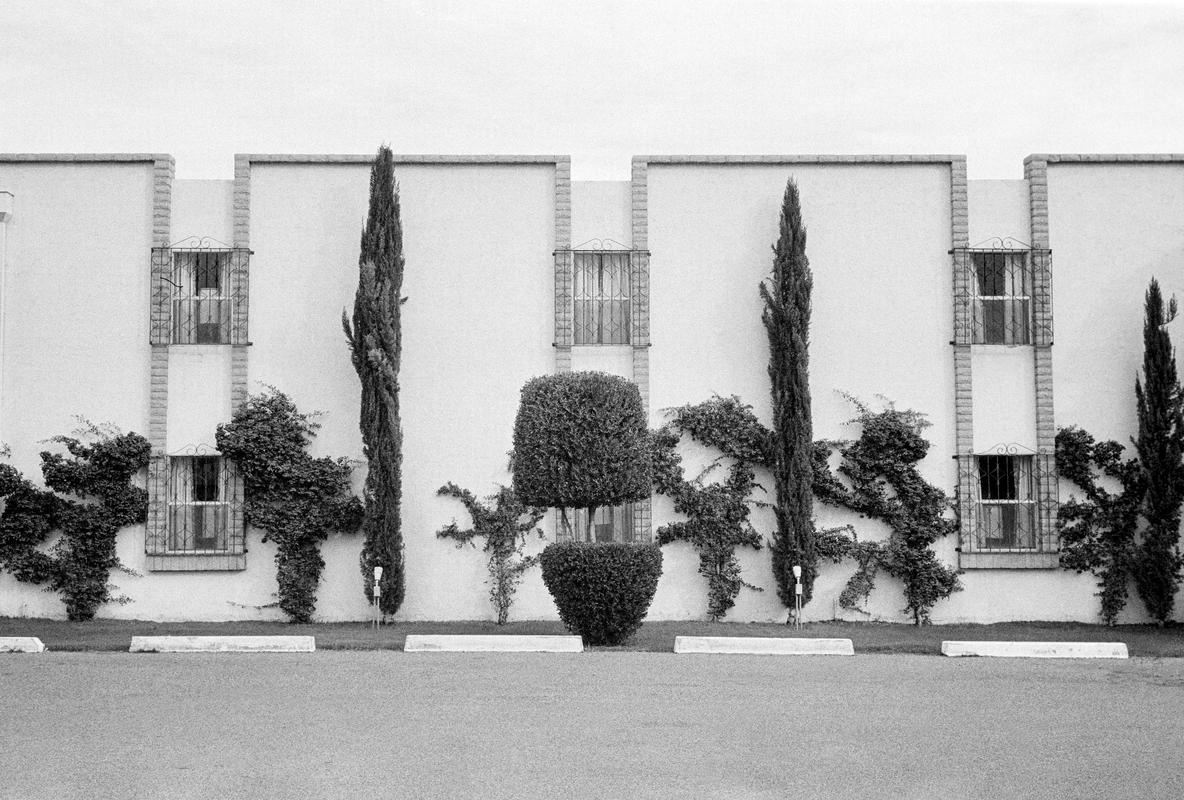 USA. ARIZONA. Mesa. Typical vegetation decoration on the outside of an apartment block. Lack of people due to the intense heat during the daylight hours. 1979.