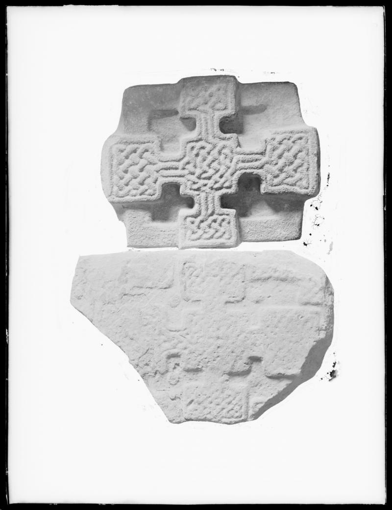 Photographic Negative