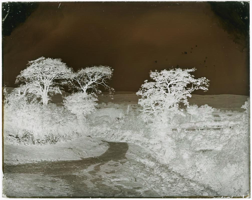 Track in field in winter, glass negative