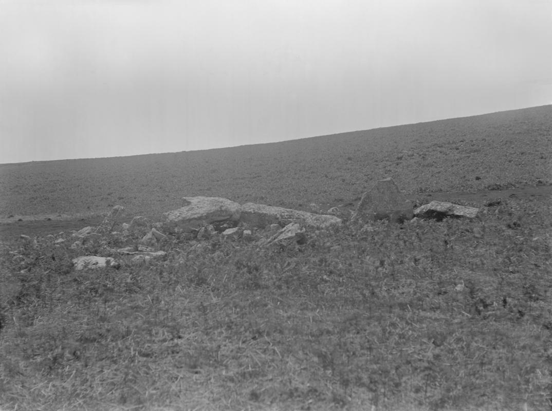 Photographic Negative