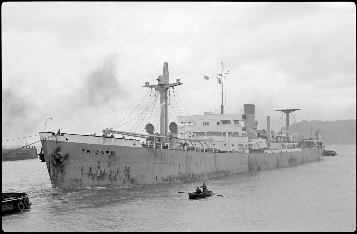 S.S. TRICAPE, negative