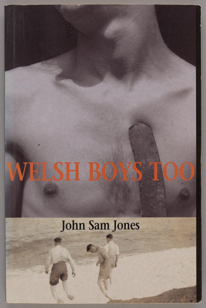 Book &#039;Welsh Boys Too&#039; by John Sam Jones