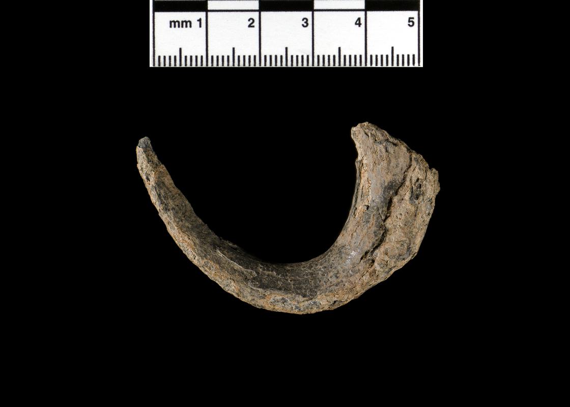 Late Bronze Age tin object