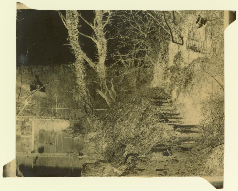 Penllergare, river above upper lake, negative