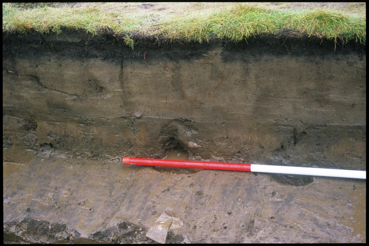 Burry Holms, Gower. 2001 Trench 4. Section at the north of the trench. Sequence shot 15.