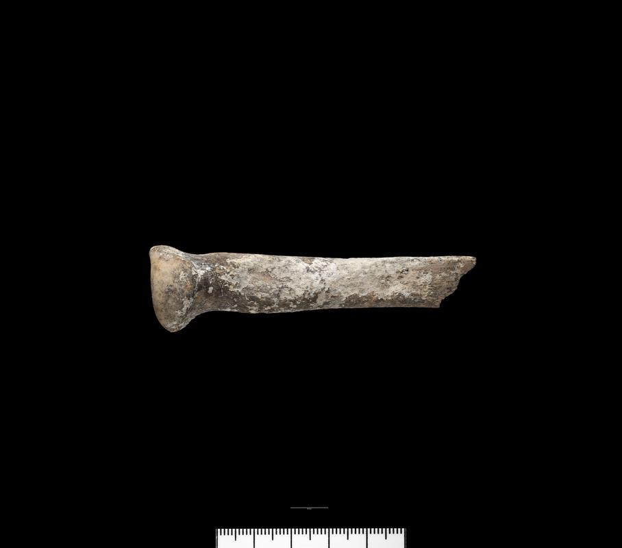 Prehistoric human bone