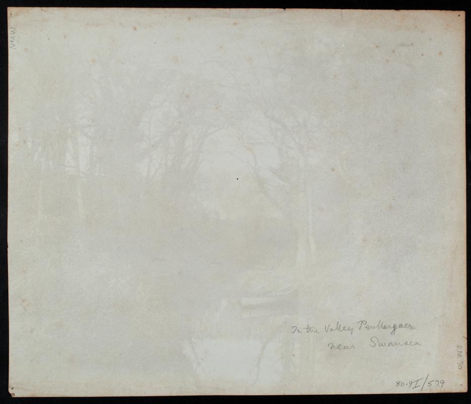 Penllergare, in the valley, photograph