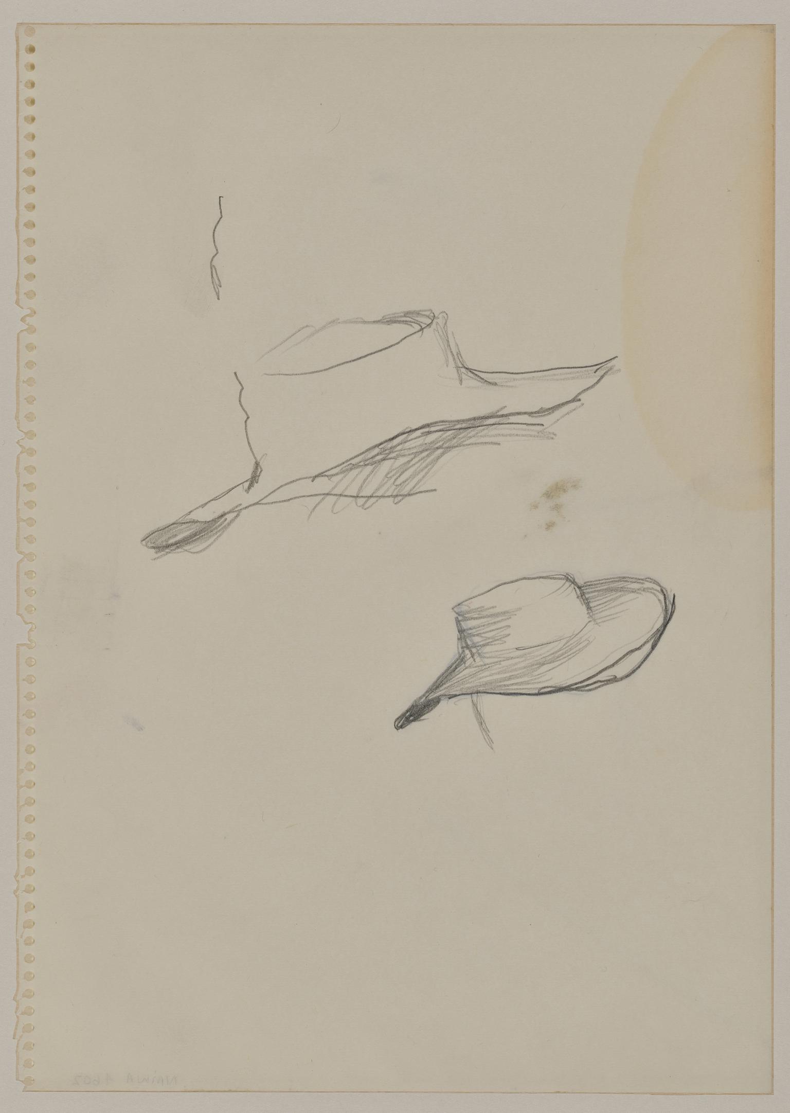 Study for hat