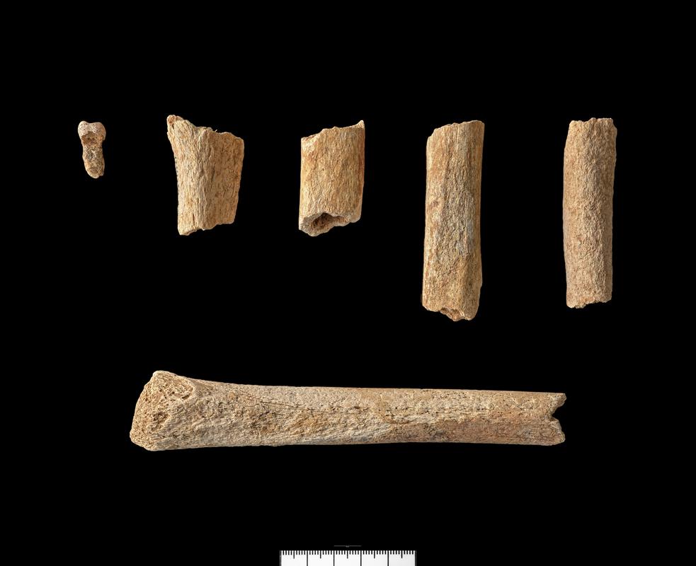 Iron Age human remains - Group shot
