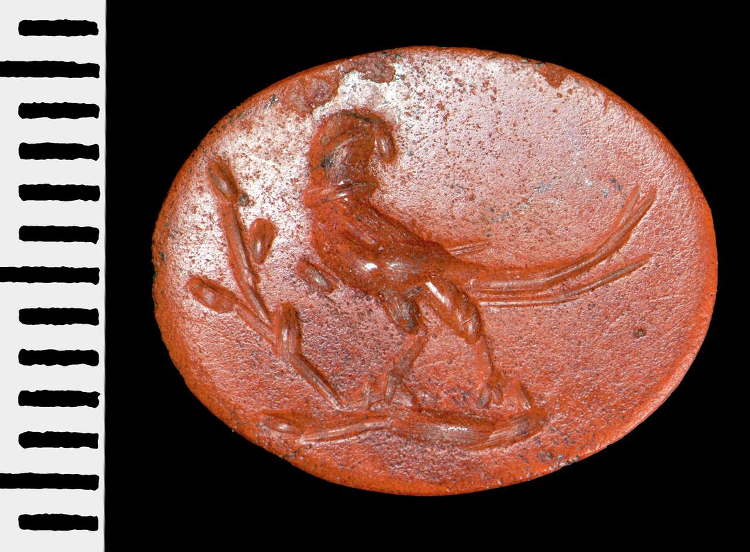 Roman intaglio (parrot)