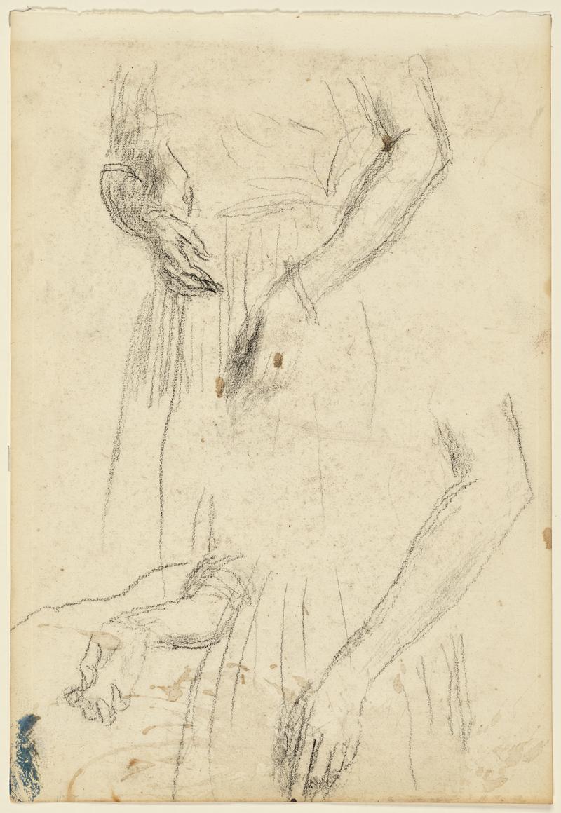 Hands, Arms and Torso of a Woman