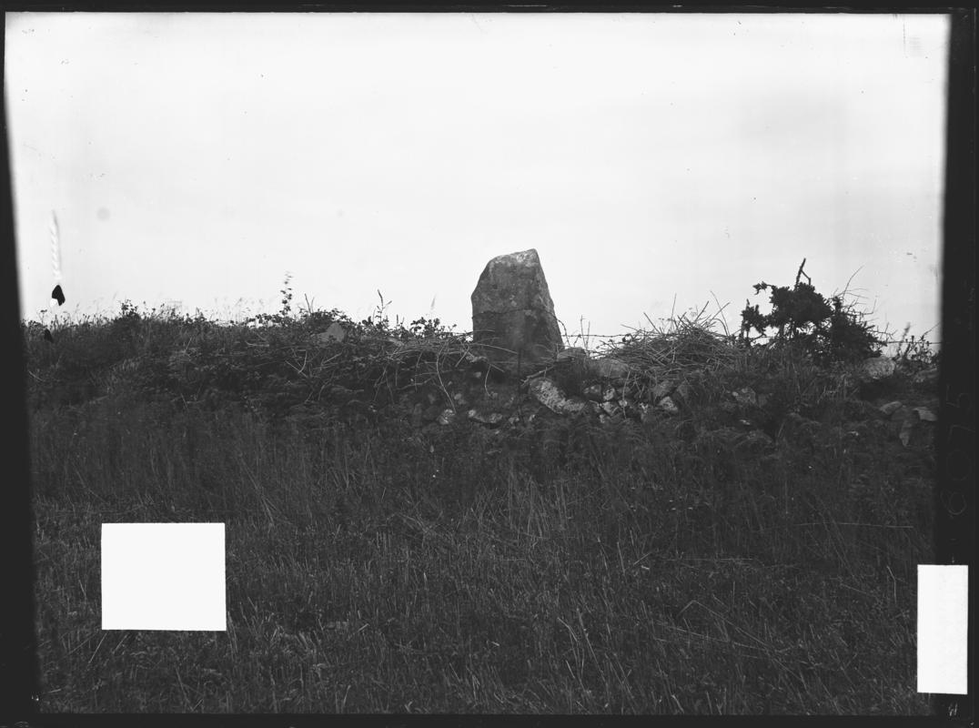 Photographic Negative