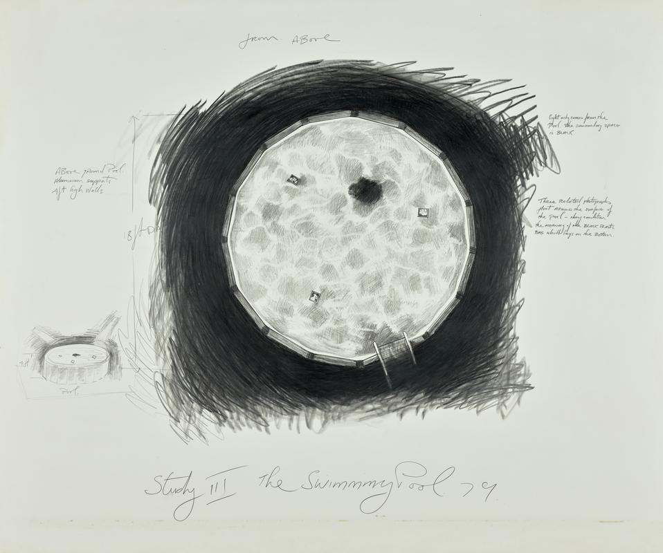 Study III - The Swimming Pool
