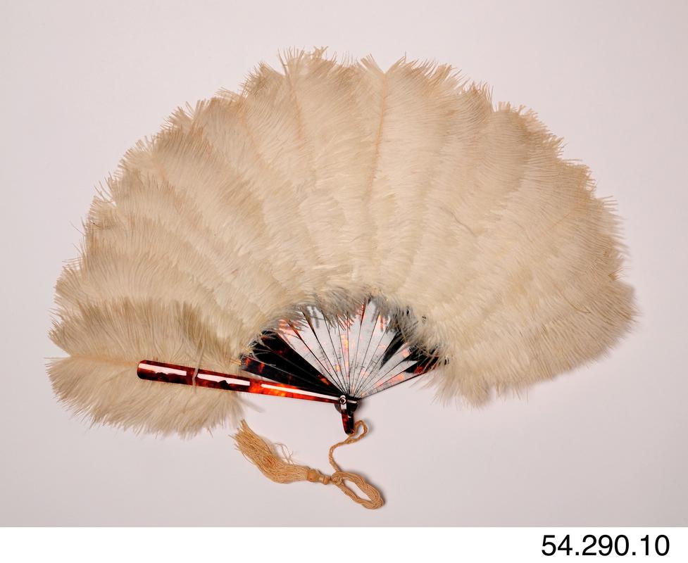 Tortoise shell &amp; white feathered fan