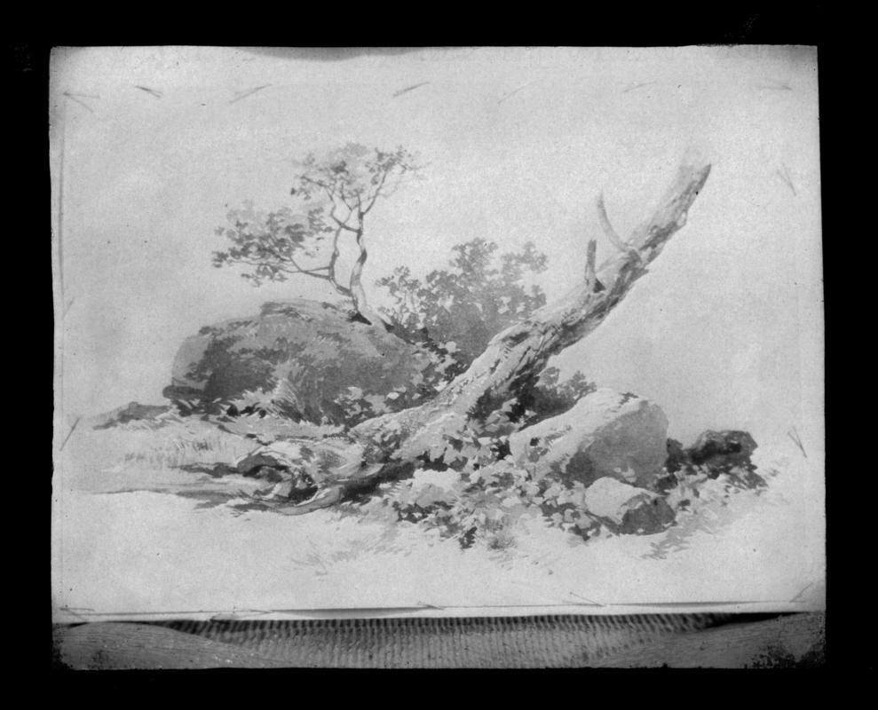 drawing of rocks and trees, negative